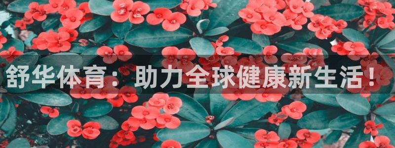 舒华体育：助力全球健康新生活！