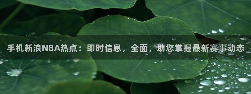 手机新浪NBA热点：即时信息，全面，助您掌握最新赛事动态