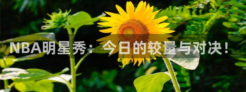 NBA明星秀：今日的较量与对决！
