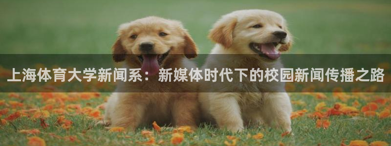 上海体育大学新闻系：新媒体时代下的校园新闻传播之路