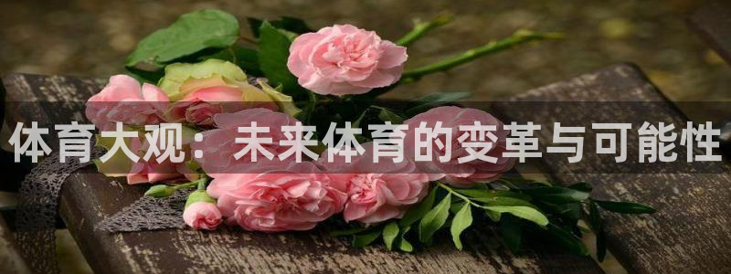 体育大观：未来体育的变革与可能性