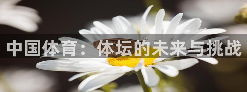 中国体育：体坛的未来与挑战