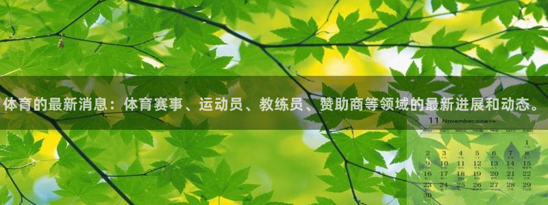 体育的最新消息：体育赛事、运动员、教练员、赞助商等领域的最新进展和动态。