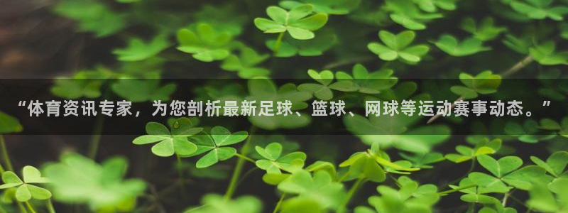 “体育资讯专家，为您剖析最新足球、篮球、网球等运动赛事动态。”