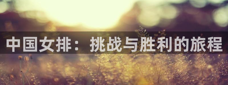 中国女排：挑战与胜利的旅程