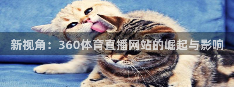 新视角：360体育直播网站的崛起与影响
