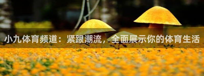 小九体育频道：紧跟潮流，全面展示你的体育生活