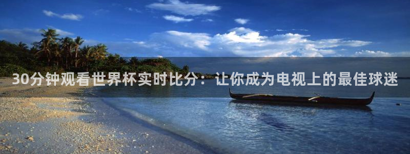 30分钟观看世界杯实时比分：让你成为电视上的最佳球迷