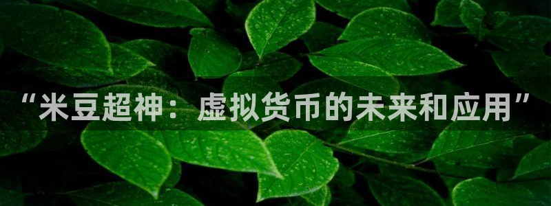 “米豆超神：虚拟货币的未来和应用”