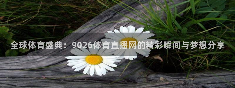 全球体育盛典：9026体育直播网的精彩瞬间与梦想分享