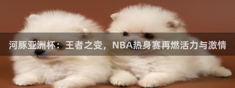 河豚亚洲杯：王者之变，NBA热身赛再燃活力与激情