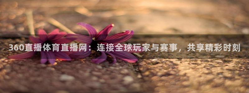 360直播体育直播网：连接全球玩家与赛事，共享精彩时刻
