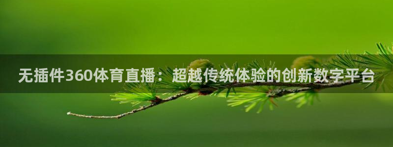 无插件360体育直播：超越传统体验的创新数字平台