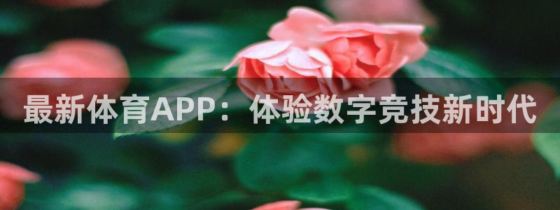 最新体育APP：体验数字竞技新时代