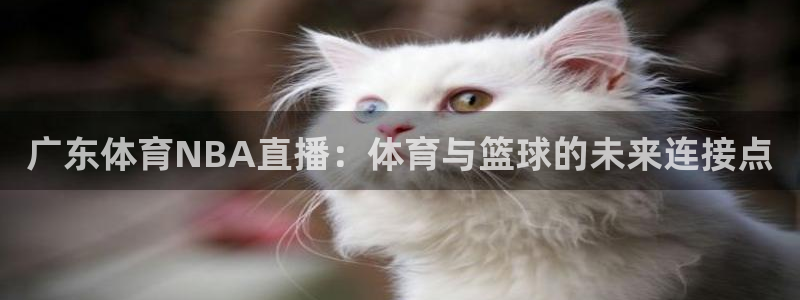 广东体育NBA直播：体育与篮球的未来连接点