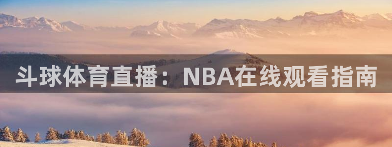 斗球体育直播：NBA在线观看指南