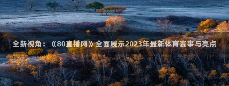 全新视角：《80直播网》全面展示2023年最新体育赛事与亮点