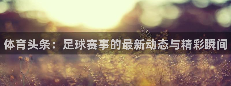 体育头条：足球赛事的最新动态与精彩瞬间