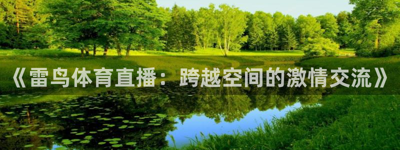 《雷鸟体育直播：跨越空间的激情交流》