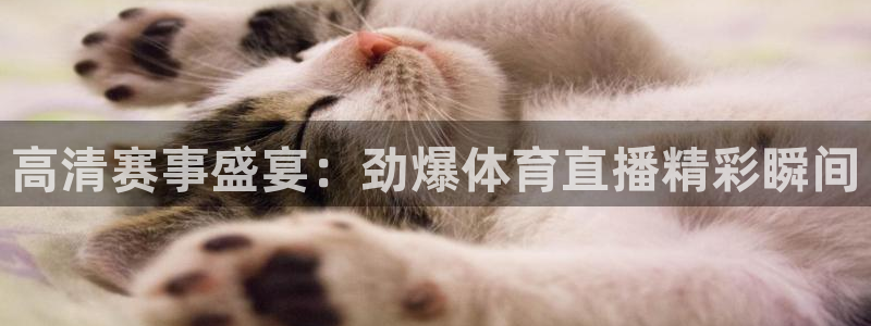 高清赛事盛宴：劲爆体育直播精彩瞬间