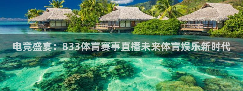电竞盛宴：833体育赛事直播未来体育娱乐新时代