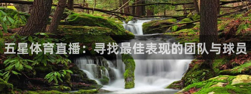 五星体育直播：寻找最佳表现的团队与球员