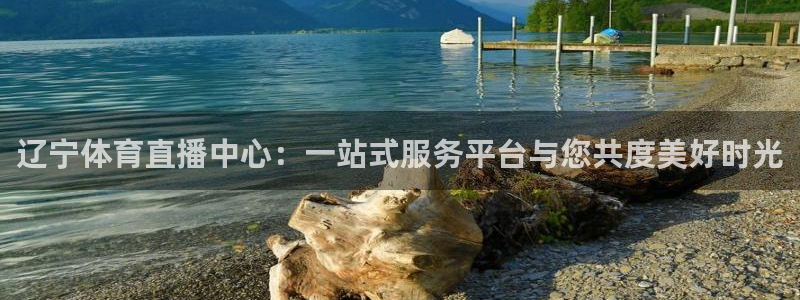 辽宁体育直播中心：一站式服务平台与您共度美好时光