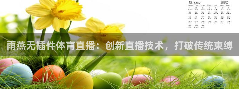 雨燕无插件体育直播：创新直播技术，打破传统束缚