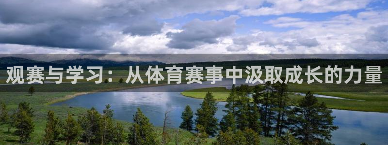 观赛与学习：从体育赛事中汲取成长的力量