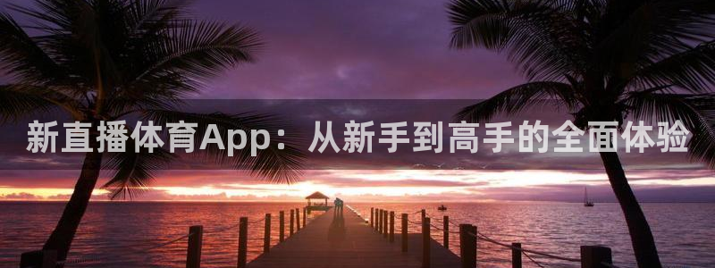 新直播体育App：从新手到高手的全面体验