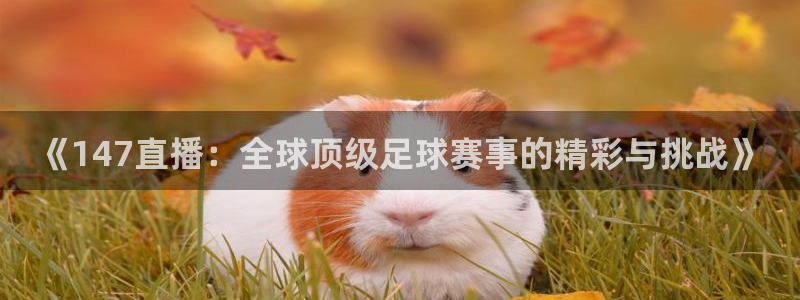 《147直播：全球顶级足球赛事的精彩与挑战》