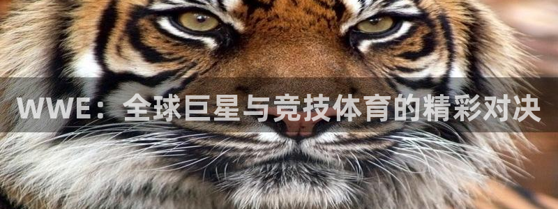WWE：全球巨星与竞技体育的精彩对决