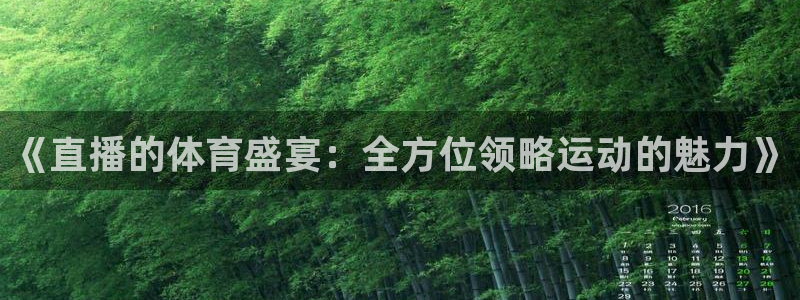 《直播的体育盛宴：全方位领略运动的魅力》