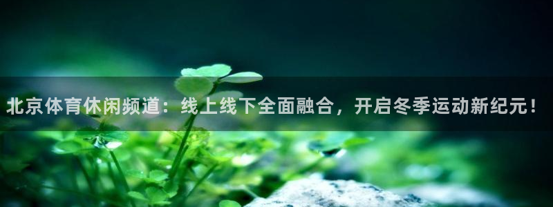 北京体育休闲频道：线上线下全面融合，开启冬季运动新纪元！
