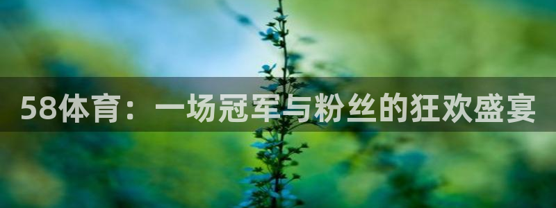 58体育：一场冠军与粉丝的狂欢盛宴