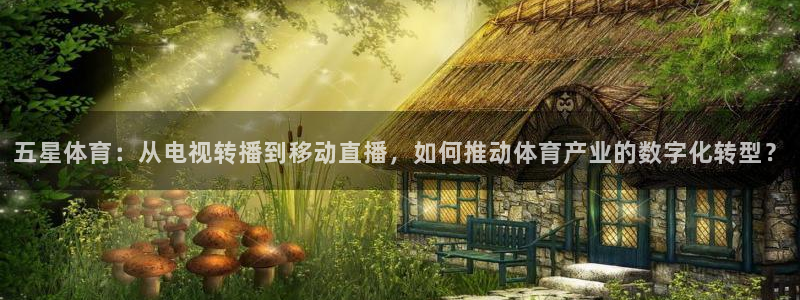 五星体育：从电视转播到移动直播，如何推动体育产业的数字化转型？