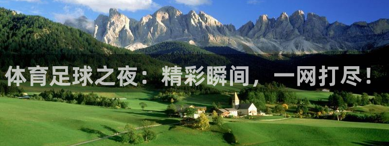 体育足球之夜：精彩瞬间，一网打尽！