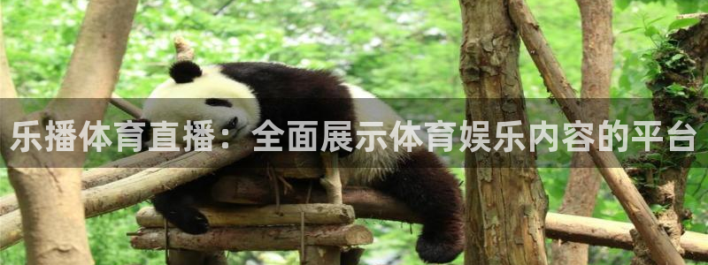 乐播体育直播：全面展示体育娱乐内容的平台