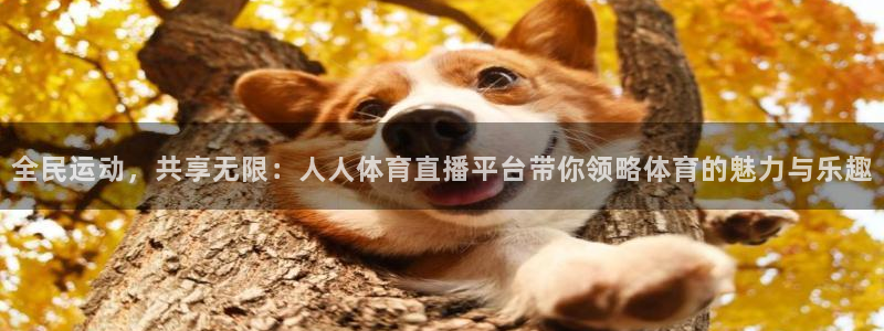 全民运动，共享无限：人人体育直播平台带你领略体育的魅力与乐趣