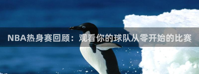 NBA热身赛回顾：观看你的球队从零开始的比赛