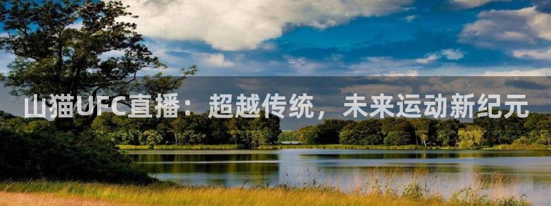 山猫UFC直播：超越传统，未来运动新纪元