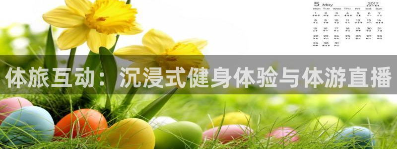 体旅互动：沉浸式健身体验与体游直播
