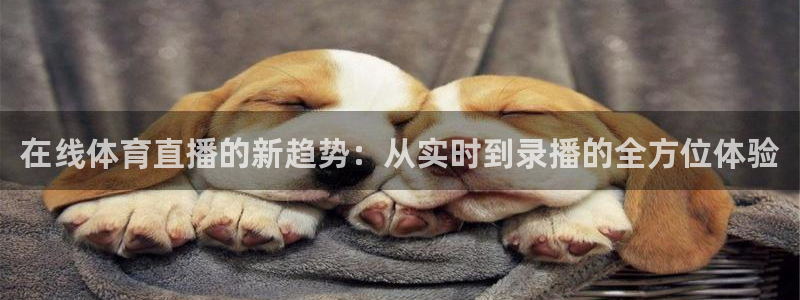 在线体育直播的新趋势：从实时到录播的全方位体验