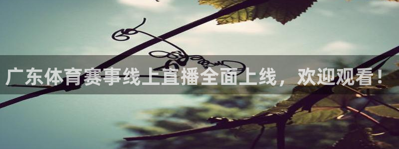 广东体育赛事线上直播全面上线，欢迎观看！