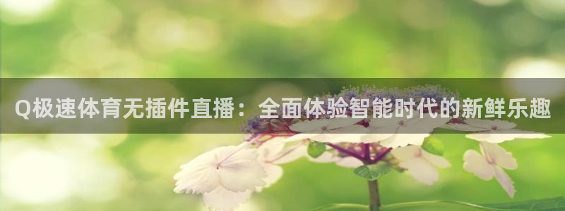 Q极速体育无插件直播：全面体验智能时代的新鲜乐趣