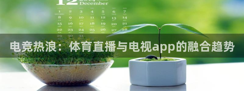 电竞热浪：体育直播与电视app的融合趋势