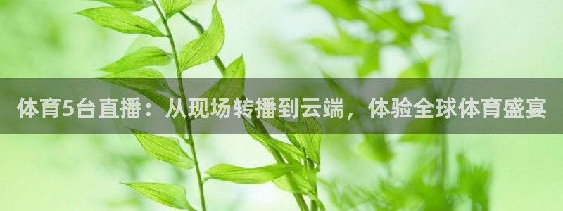 体育5台直播：从现场转播到云端，体验全球体育盛宴