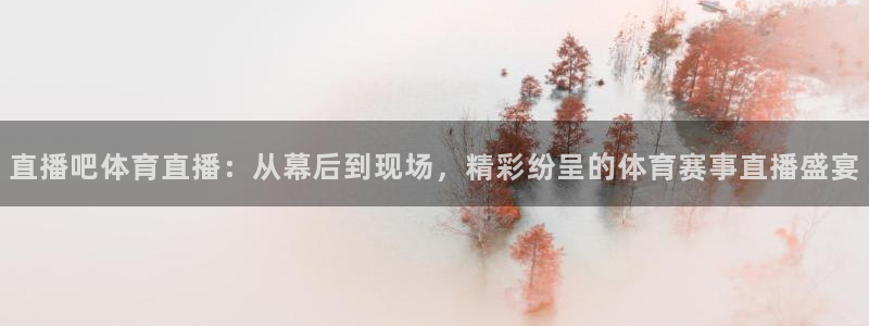 直播吧体育直播：从幕后到现场，精彩纷呈的体育赛事直播盛宴