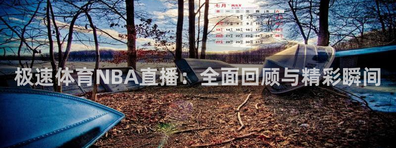 极速体育NBA直播：全面回顾与精彩瞬间