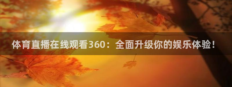 体育直播在线观看360：全面升级你的娱乐体验！